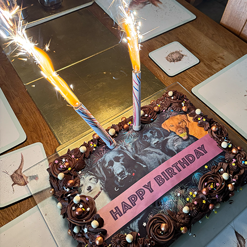 Load image into Gallery viewer, Ice Fountains (Box of 36)