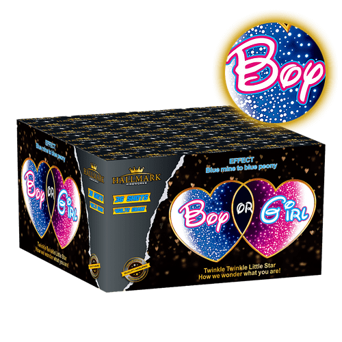 Load image into Gallery viewer, Boy or Girl? Gender Reveal Cake