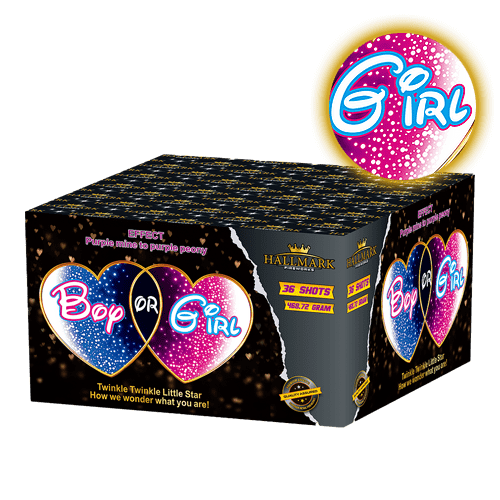 Load image into Gallery viewer, Boy or Girl? Gender Reveal Cake