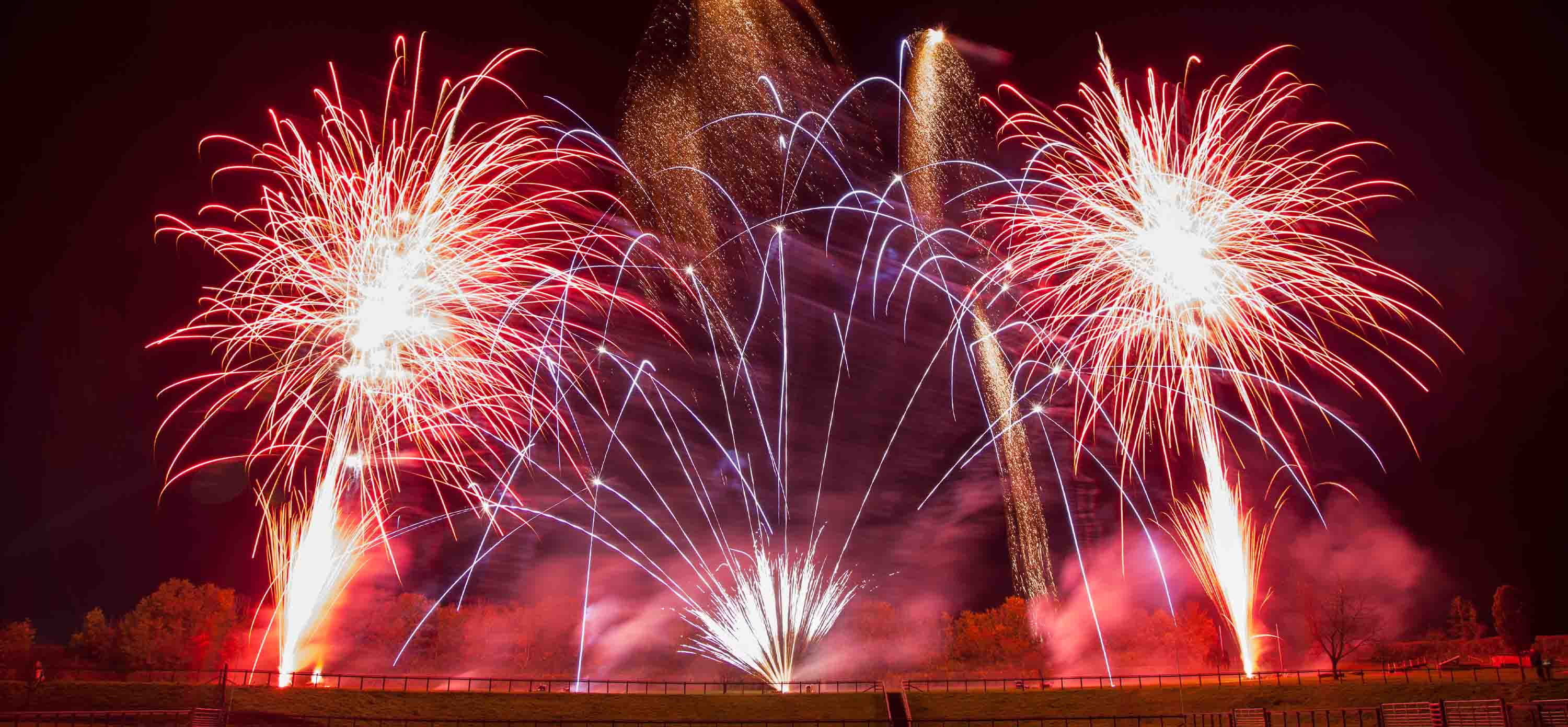 Cakes & Barrages – Sonic Fireworks Shop