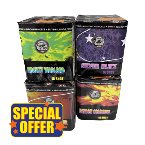 Assorted 16-shot Cake Pack (4pcs)